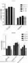 Fig. 13 - AAV production using suspension adapted cells