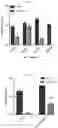 Fig. 14 - AAV production using suspension adapted cells