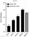 Fig. 16 - AAV production using suspension adapted cells