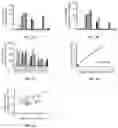 Fig. 04 - Methods for in vitro evolution of constructs derived from viruses