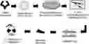 Fig. 01 - Mumps virus as a potential oncolytic agent