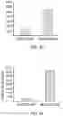 Fig. 10 - Mumps virus as a potential oncolytic agent