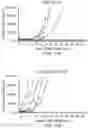 Fig. 16 - Mumps virus as a potential oncolytic agent