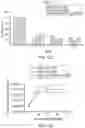 Fig. 20 - Mumps virus as a potential oncolytic agent