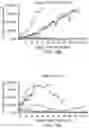 Fig. 24 - Mumps virus as a potential oncolytic agent