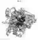Fig. 04 - Nicotine degrading enzyme variants
