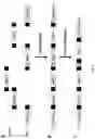 Fig. 03 - UDP-glycosyltransferases