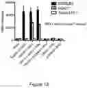 Fig. 13 - Polypeptide assemblies and methods for the production thereof