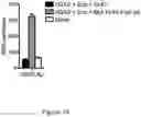 Fig. 14 - Polypeptide assemblies and methods for the production thereof