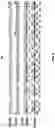Fig. 05 - Selective labeling of 5-methylcytosine in circulating cell-free DNA