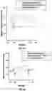 Fig. 06 - Selective labeling of 5-methylcytosine in circulating cell-free DNA