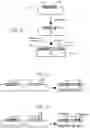 Fig. 12 - Modular polypeptide libraries and methods of making and using same