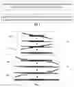 Fig. 02 - Method and kit for constructing a simplified genomic library