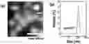 Fig. 01 - METHOD OF MANUFACTURING VESICLES BY DELIVERY OF RNA NANOPARTICLES AND VESICLES MANUFACTURED USING THE SAME
