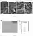 Fig. 03 - METHOD OF MANUFACTURING VESICLES BY DELIVERY OF RNA NANOPARTICLES AND VESICLES MANUFACTURED USING THE SAME