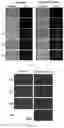 Fig. 04 - METHOD OF MANUFACTURING VESICLES BY DELIVERY OF RNA NANOPARTICLES AND VESICLES MANUFACTURED USING THE SAME