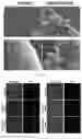 Fig. 08 - METHOD OF MANUFACTURING VESICLES BY DELIVERY OF RNA NANOPARTICLES AND VESICLES MANUFACTURED USING THE SAME