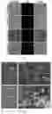 Fig. 09 - METHOD OF MANUFACTURING VESICLES BY DELIVERY OF RNA NANOPARTICLES AND VESICLES MANUFACTURED USING THE SAME