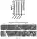 Fig. 10 - METHOD OF MANUFACTURING VESICLES BY DELIVERY OF RNA NANOPARTICLES AND VESICLES MANUFACTURED USING THE SAME
