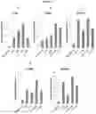 Fig. 03 - EXPRESSION SYSTEMS THAT FACILITATE NUCLEIC ACID DELIVERY AND METHODS OF USE
