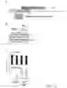 Fig. 13 - Functional nucleic acid molecule and use thereof