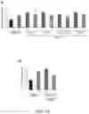 Fig. 14 - Functional nucleic acid molecule and use thereof