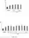 Fig. 16 - Functional nucleic acid molecule and use thereof