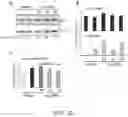Fig. 22 - Functional nucleic acid molecule and use thereof