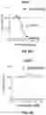 Fig. 09 - Methods and compositions for modulating splicing