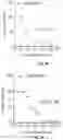 Fig. 11 - Methods and compositions for modulating splicing