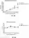 Fig. 20 - Methods and compositions for modulating splicing