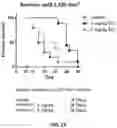 Fig. 30 - Methods and compositions for modulating splicing
