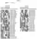 Fig. 09 - MODULATION OF IMMUNE RESPONSE THROUGH STIMULATOR OF INTERFERON GENES