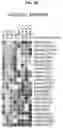 Fig. 10 - MODULATION OF IMMUNE RESPONSE THROUGH STIMULATOR OF INTERFERON GENES