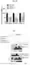 Fig. 12 - MODULATION OF IMMUNE RESPONSE THROUGH STIMULATOR OF INTERFERON GENES