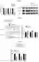 Fig. 14 - MODULATION OF IMMUNE RESPONSE THROUGH STIMULATOR OF INTERFERON GENES
