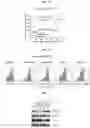 Fig. 16 - MODULATION OF IMMUNE RESPONSE THROUGH STIMULATOR OF INTERFERON GENES