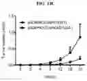 Fig. 31 - MODULATION OF IMMUNE RESPONSE THROUGH STIMULATOR OF INTERFERON GENES