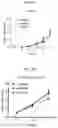 Fig. 33 - MODULATION OF IMMUNE RESPONSE THROUGH STIMULATOR OF INTERFERON GENES