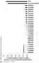 Fig. 05 - Immunosuppression-reverting oligonucleotides inhibiting the expression of CD39