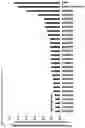 Fig. 06 - Immunosuppression-reverting oligonucleotides inhibiting the expression of CD39