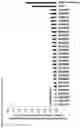 Fig. 09 - Immunosuppression-reverting oligonucleotides inhibiting the expression of CD39