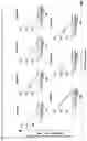 Fig. 12 - Immunosuppression-reverting oligonucleotides inhibiting the expression of CD39