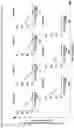 Fig. 13 - Immunosuppression-reverting oligonucleotides inhibiting the expression of CD39
