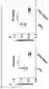 Fig. 28 - Immunosuppression-reverting oligonucleotides inhibiting the expression of CD39