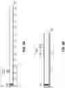 Fig. 12 - ANTISENSE OLIGONUCLEOTIDE DIRECTED REMOVAL OF PROTEOLYTIC CLEAVAGE SITES, THE HCHWA-D MUTATION, AND TRINUCLEOTIDE REPEAT EXPANSIONS