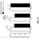 Fig. 20 - ANTISENSE OLIGONUCLEOTIDE DIRECTED REMOVAL OF PROTEOLYTIC CLEAVAGE SITES, THE HCHWA-D MUTATION, AND TRINUCLEOTIDE REPEAT EXPANSIONS