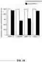 Fig. 26 - ANTISENSE OLIGONUCLEOTIDE DIRECTED REMOVAL OF PROTEOLYTIC CLEAVAGE SITES, THE HCHWA-D MUTATION, AND TRINUCLEOTIDE REPEAT EXPANSIONS