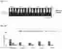 Fig. 06 - Amplicon Expression Vector Vaccines