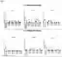 Fig. 08 - Amplicon Expression Vector Vaccines